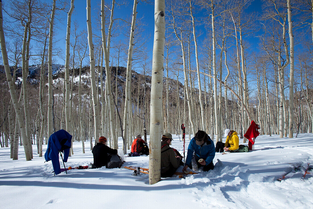 Five men sitting in the snow and aspen trees eating lunch while on a backcountry ski trip Wendover, Nevada, USA