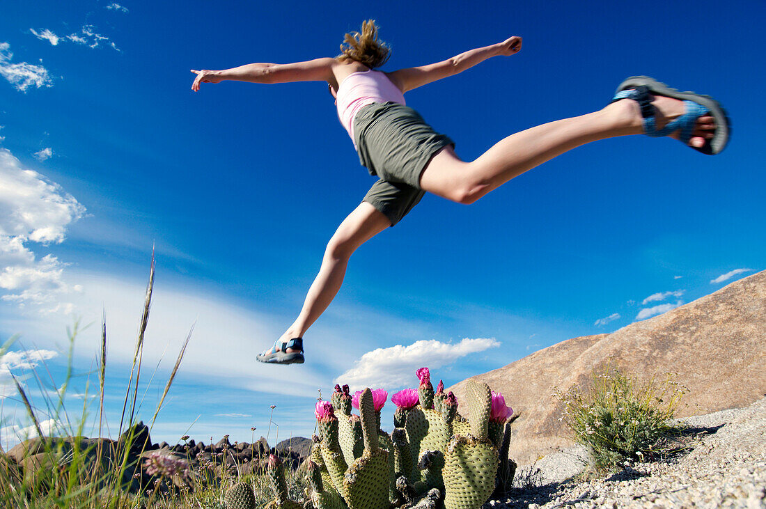 A woman jumping across a patch of cactus at the Alabama Hills above Lone Pine in California Lone Pine, California, USA