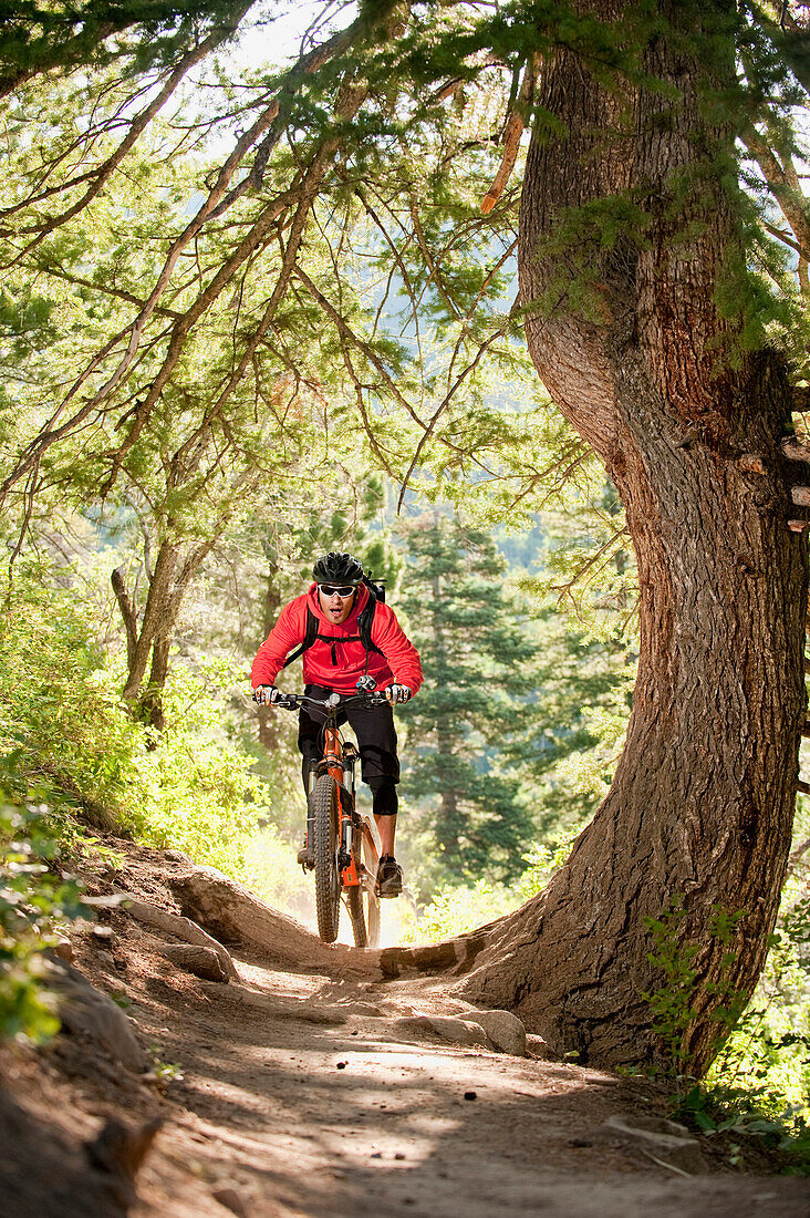 A young man rides his mountain bike on a trail in Big Cottonwood Canyon, near Salt Lake City, UT Salt Lake City, Utah, USA