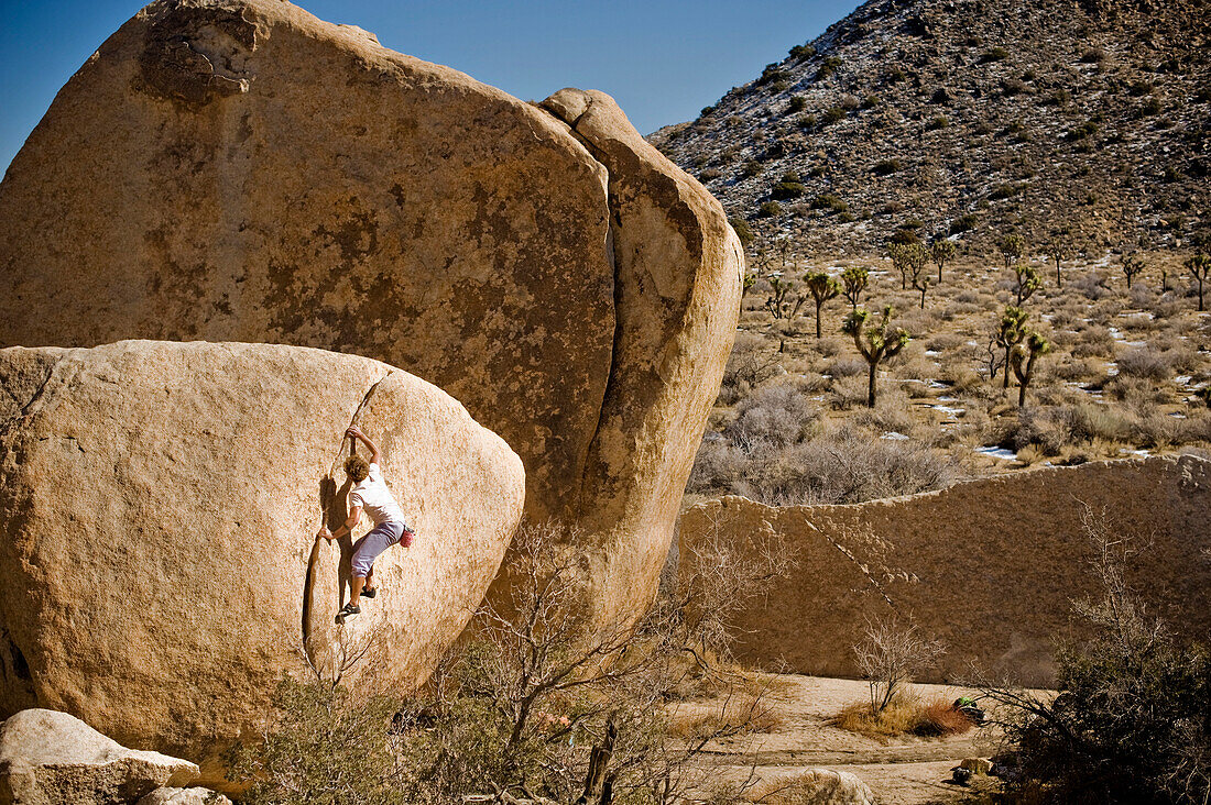A young man climbs a diagonal crack on a high boulder problem Joshua Tree, California, USA