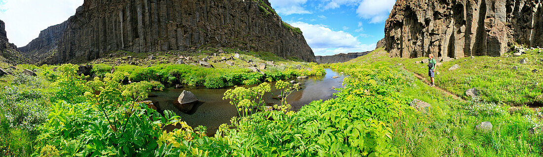 Canyon in J_kuls+glj+fur National Park, northern Iceland, Westfjords, Iceland