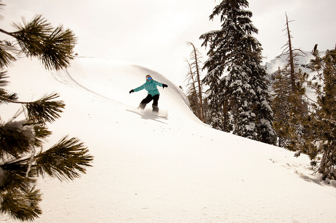 A female snowboarder lays out some fresh tracks while snowboarding in Squaw Valley, California Squaw Valley, California, United States of America