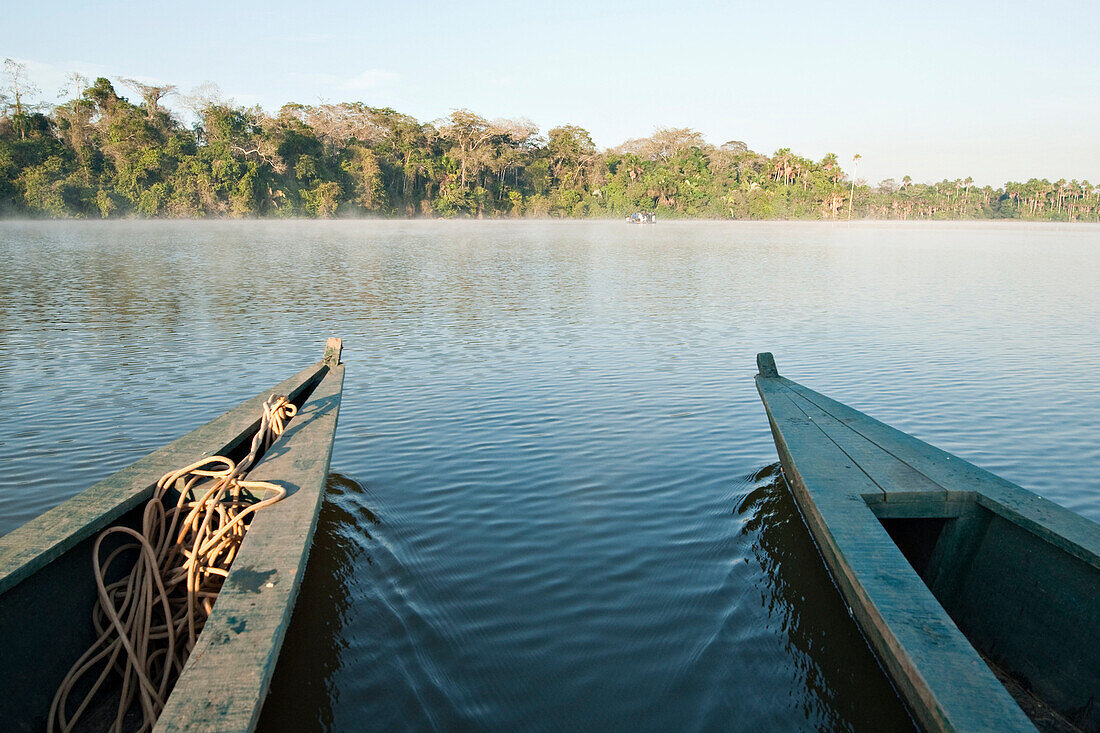 A wooden canoe made of Eucylptus tree floats in the amazon river and connecting tributary rivers in the rainforest Sandoval Lake, Amazon Rainforest, Puerto Maldanado, Peru, Peru