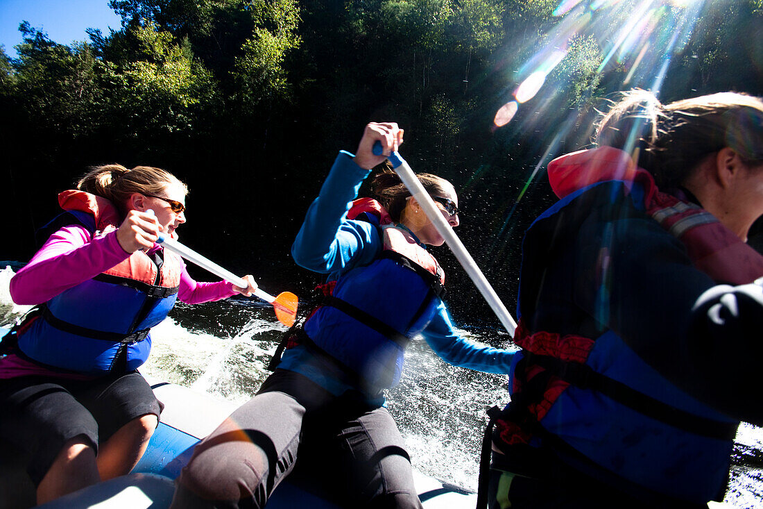 A group of adults whitewater rafting in Maine West Forks, Maine, United States of America