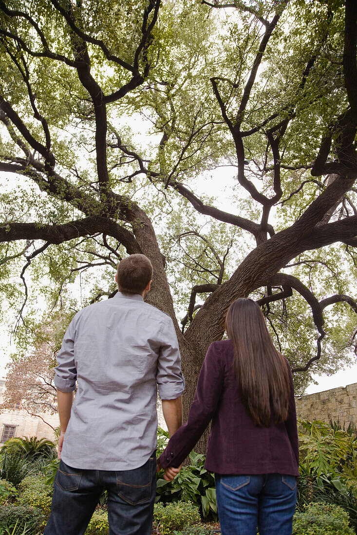 Couple holding hands and looking at tree, San Antonio, TX