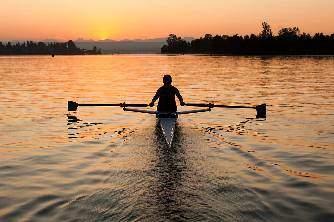 Person rowing sculling boat on river, Seattle, wa, usa