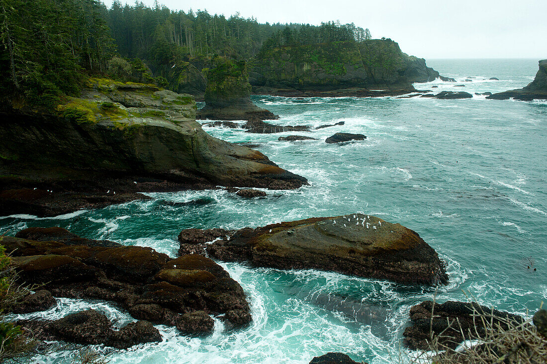 Ocean and rocky shore of remote area, Neah Bay, Washington, United States