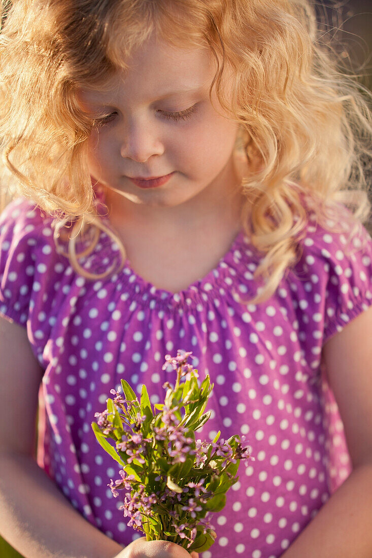 Caucasian girl picking flowers, Lehi, Utah, USA