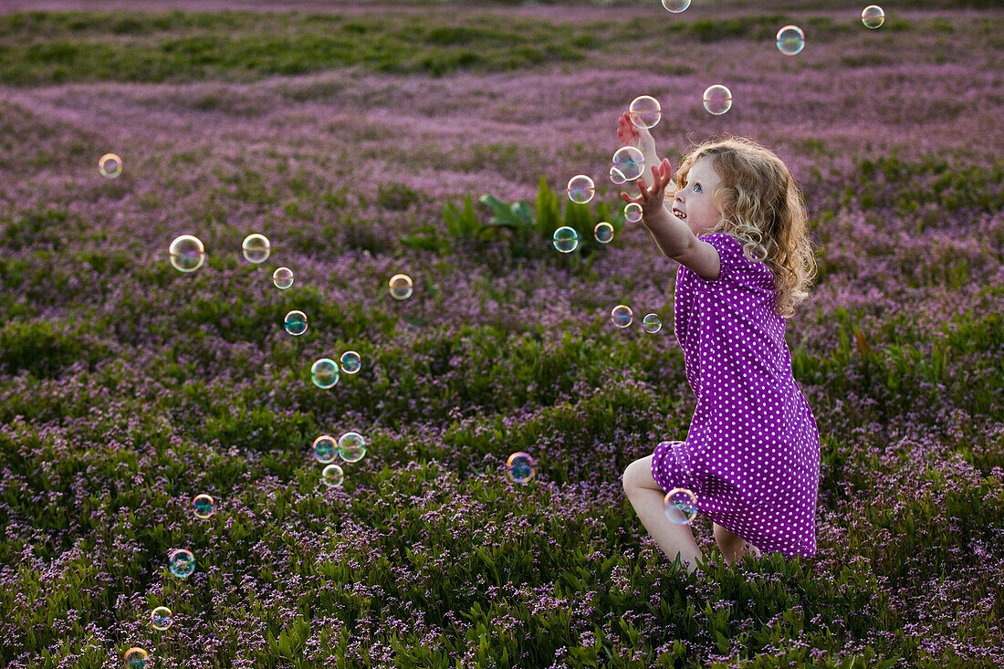 Caucasian girls chasing bubbles in field of flowers, Lehi, Utah, USA