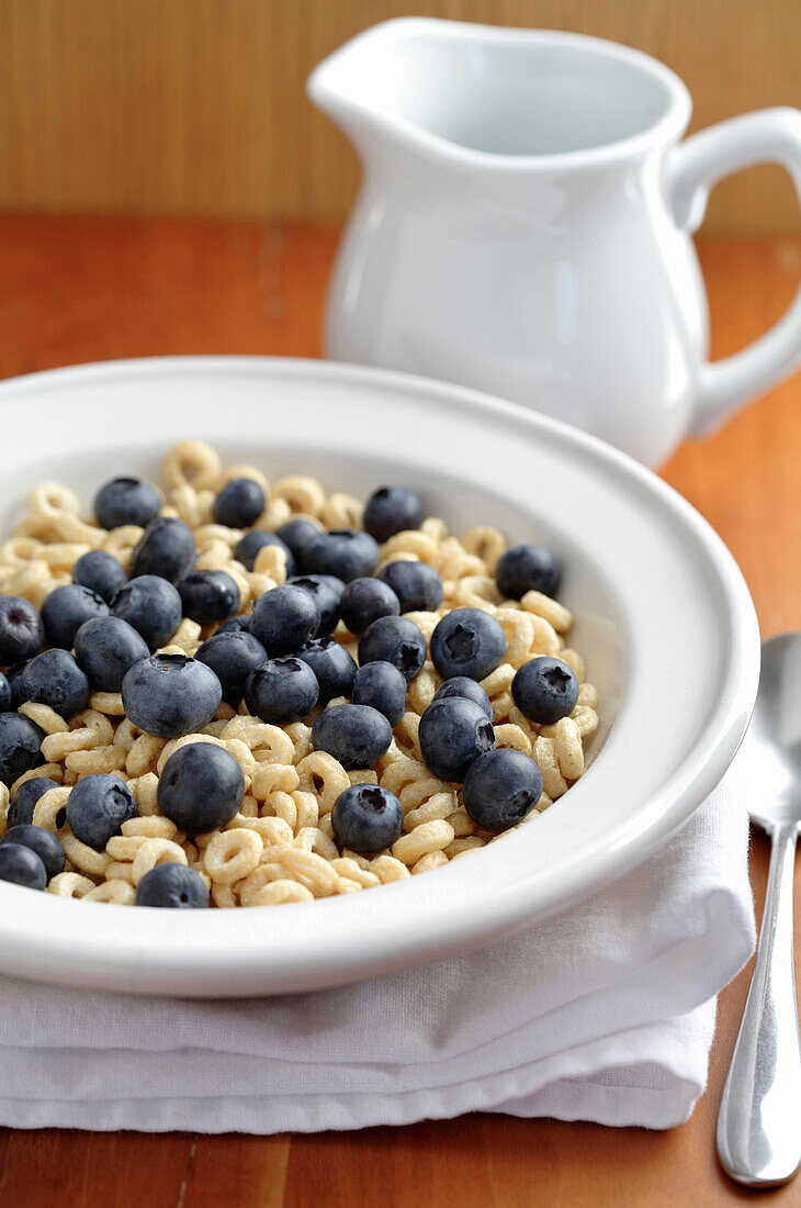Fresh blueberries in bowl of cereal, Santa Fe, New Mexico, USA