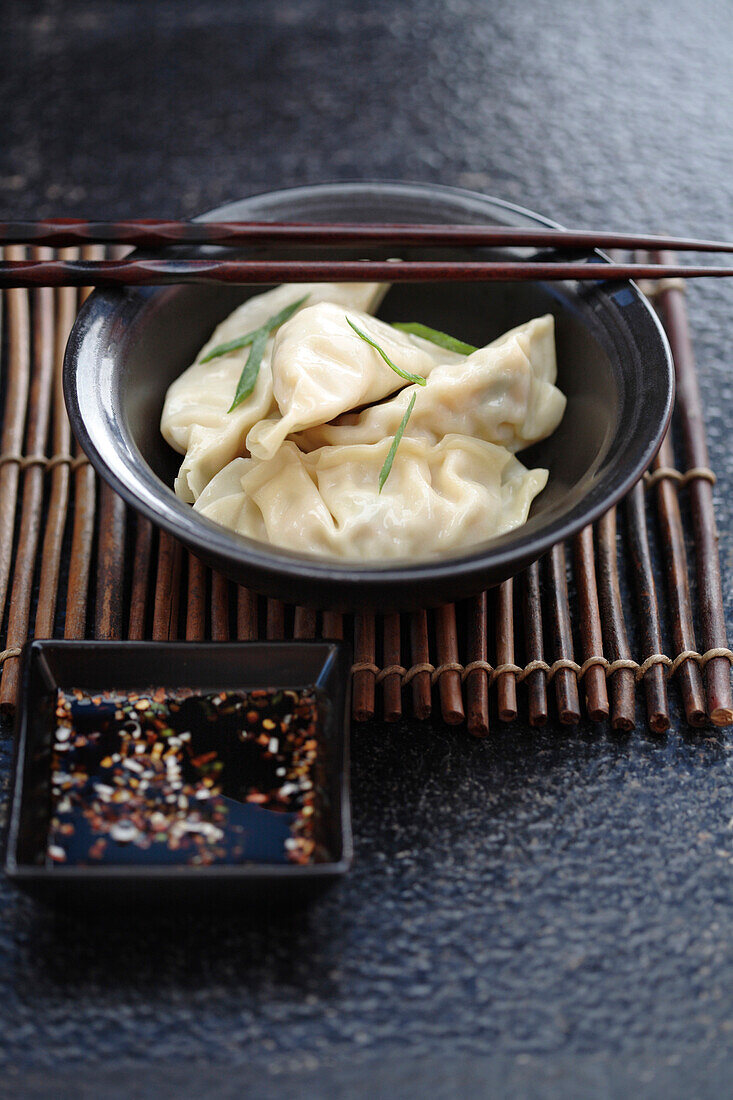 Asian dumplings in bowl, Santa Fe, New Mexico, USA