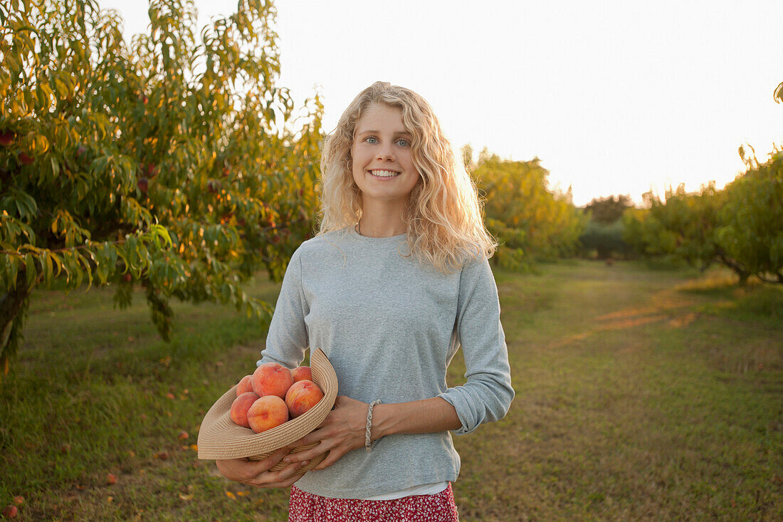 Caucasian woman picking fruit in orchard, Cape Charles, VA, USA