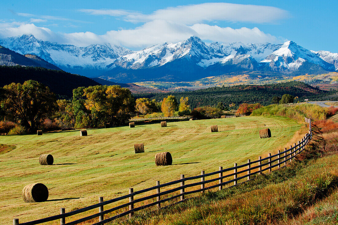 Hay bales in rural field, Telluride, Colorado, USA