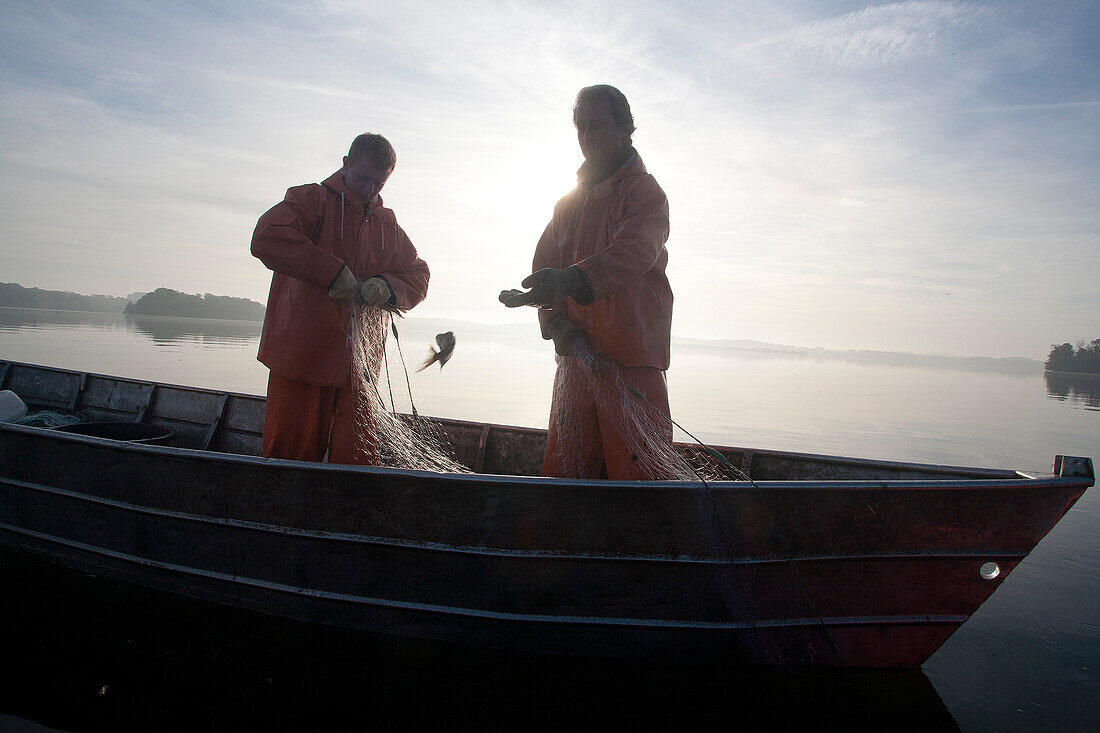 Inland fishermen on Lake Ploen in the morning, Ploen, Ostholstein, Schleswig-Holstein, Germany