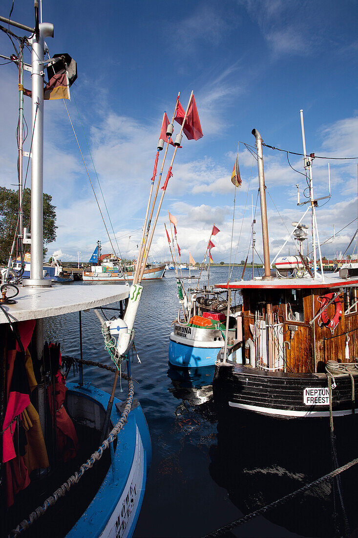 Fischkutter im Fischereihafen, Freest, Mecklenburg-Vorpommern, Deutschland