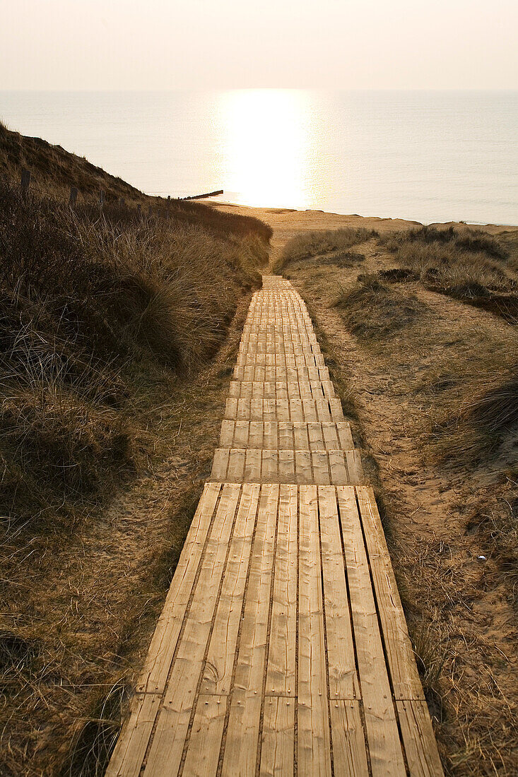 Evening mood, Wooden boardwalk through the dunes, Red Cliff, Kampen, Island Sylt, Schleswig-Holstein, Germany