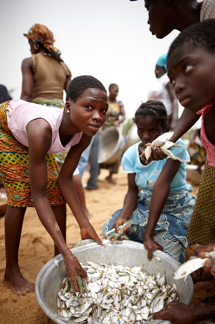 Frauen und Kinder verteilen den frischen Fang eines Schleppnetzes, Grand-Popo, Mono, Benin