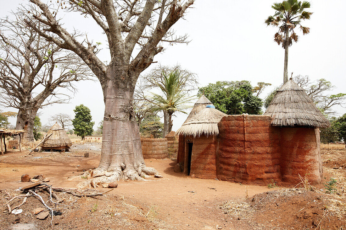 Traditional loam house in the area of the Somba tribe, Koussoucoingou, Atakora Department, Benin