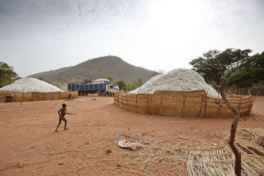 Baumwollverladung, Tian Sa Wassaga, außerhalb Penjari Nationalparks, Benin