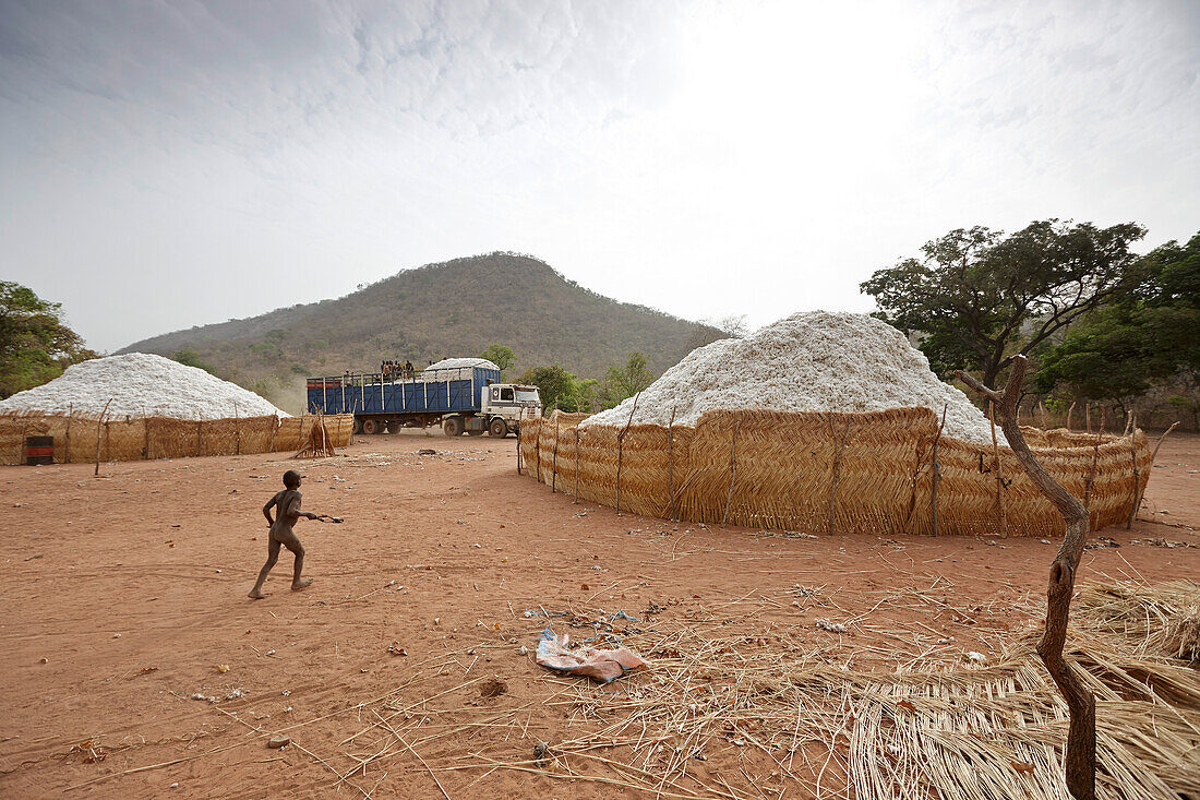 Loading of cotton, Tian Sa Wassaga, out of Penjari National Park, Benin