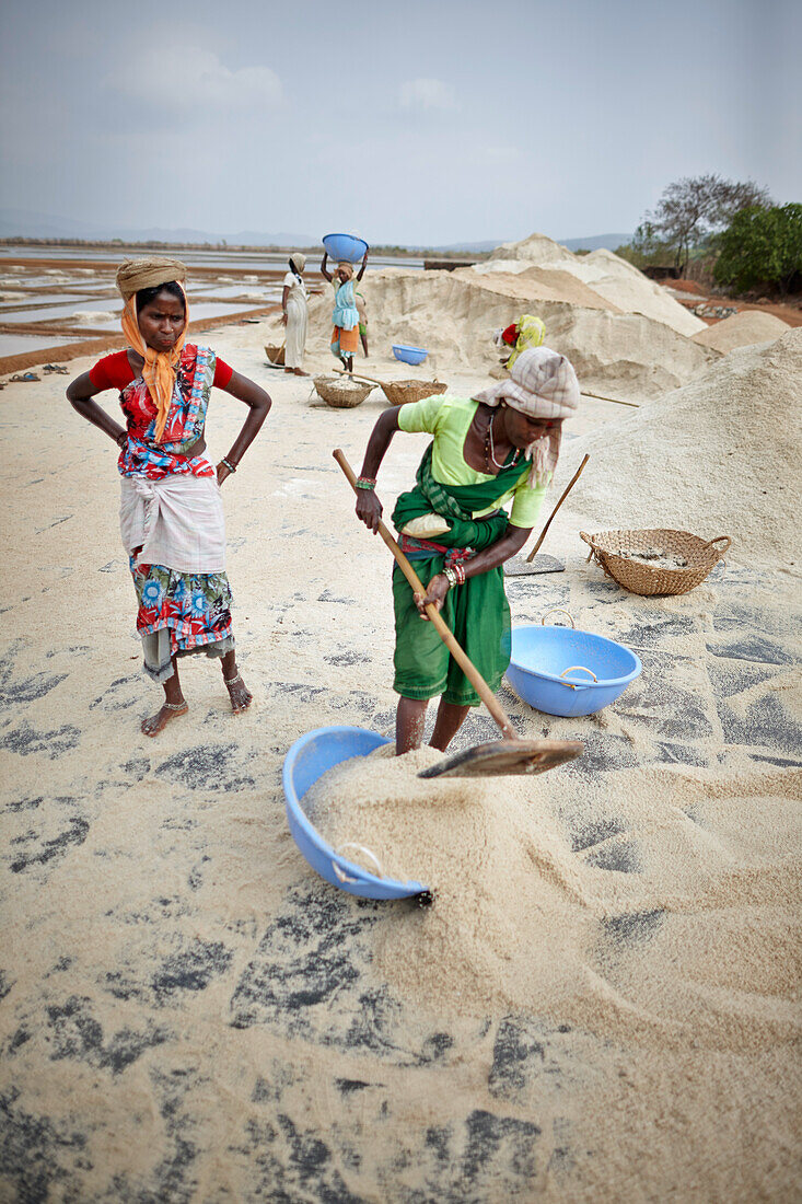 Frauen beim Salzabbau, Sanikatta Salt Society Co-Operation, Grama Panchayat Lagune, Gokarna, Karnataka, Indien