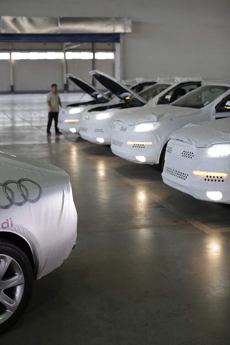 Audi Limousinen bei der technischen Kontrolle im Hafen, Tianjin, China
