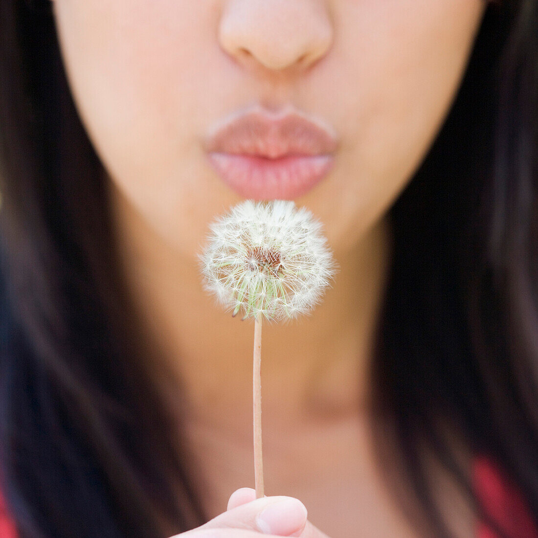 Close up of lower half of woman's face blowing dandelion, Unknown