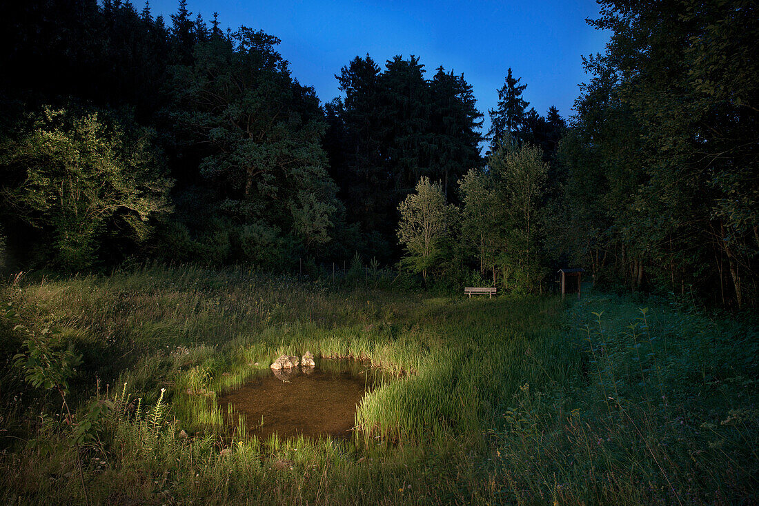 Huele (pond) at night, Berghuelen, Swabian Alp, Baden-Wuerttemberg, Germany