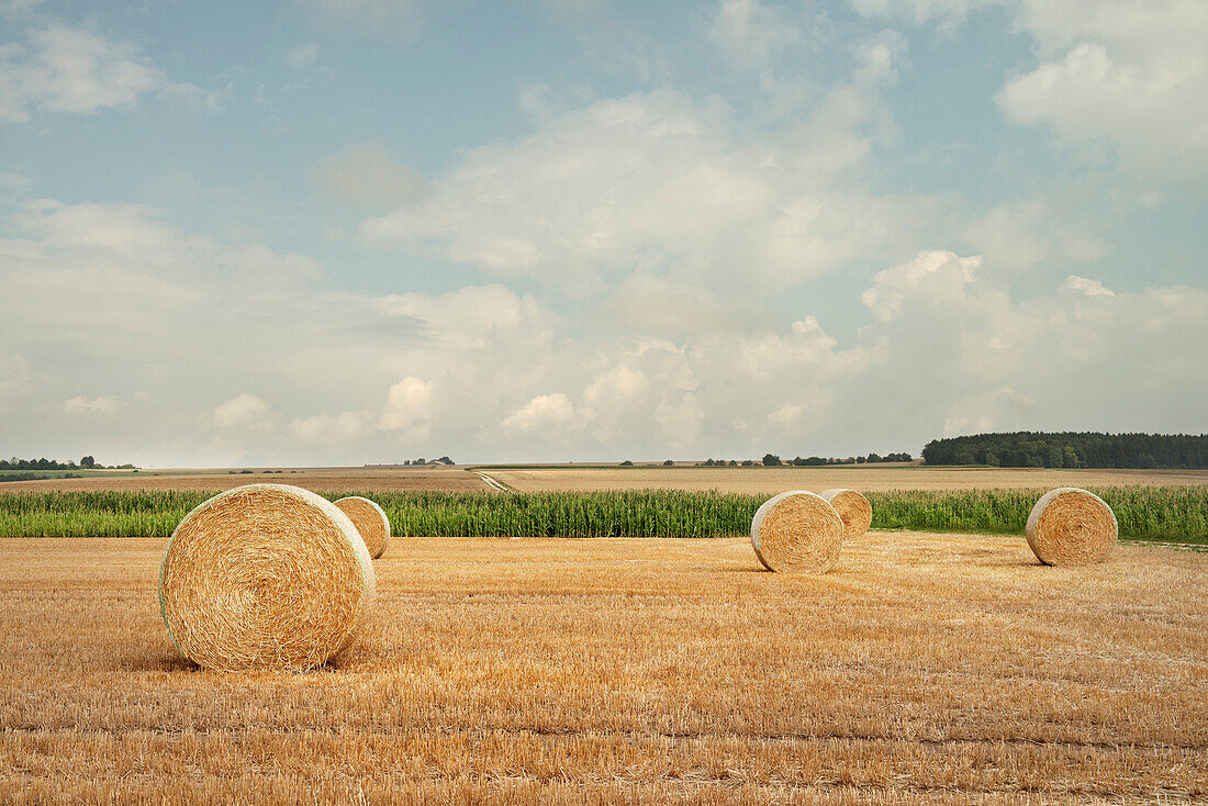 Stubblefield with bales of straw, Ehingen, Baden-Wuerttemberg, Germany
