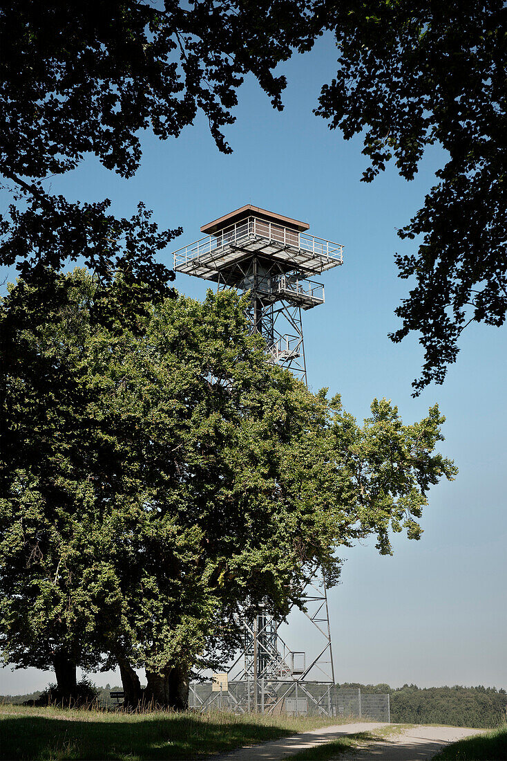 Aussichtsturm, ehemaliger Truppenübungsplatz bei Münsingen, Biosphärengebiet Schwäbische Alb, Baden-Württemberg, Deutschland