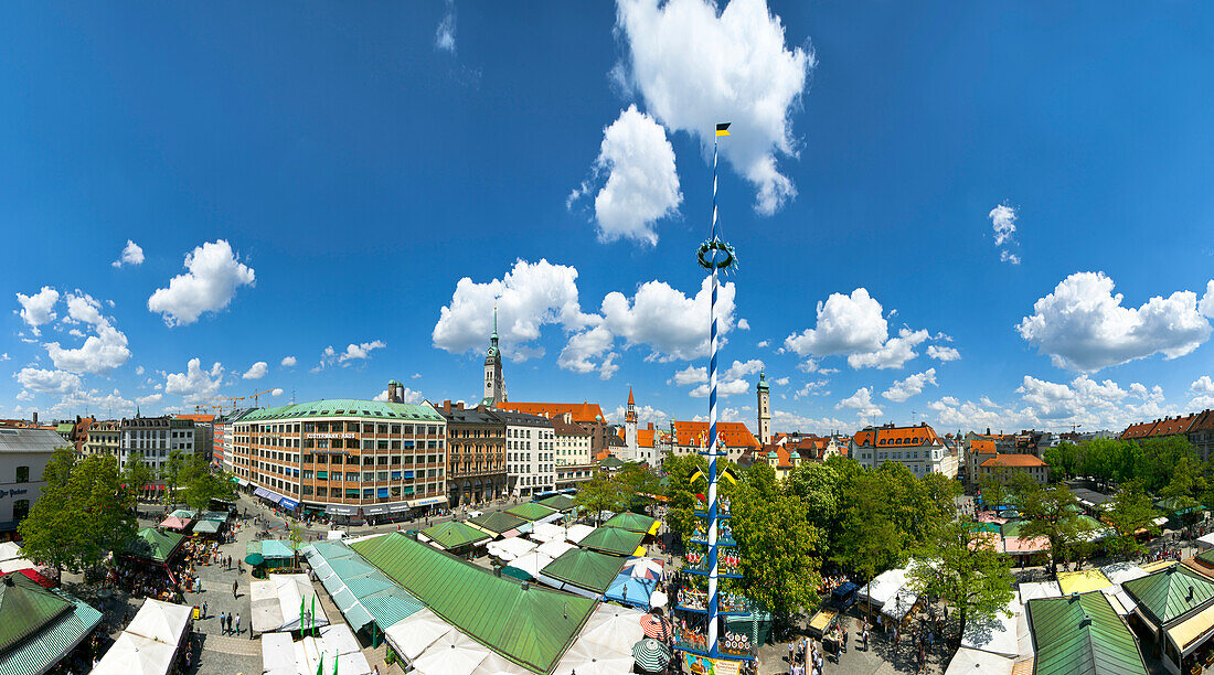 Maibaum, Viktualienmarkt, München, Bayern, Deutschland