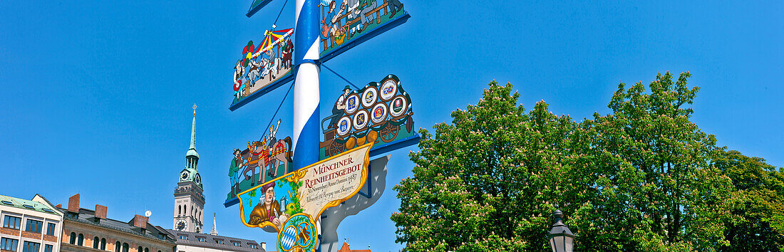 Maypole on Viktualienmarkt, Munich, Upper Bavaria, Bavaria, Germany