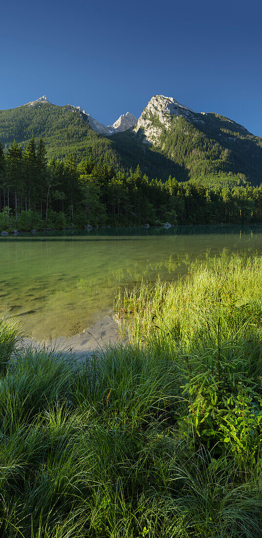 Lake Hintersee in the morning, Hochalter, Berchtesgaden National Park, Berchtesgadener Land, Bavaria, Germany