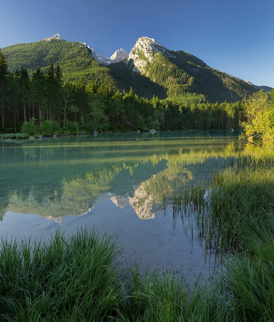 Morning at Lake Hintersee, Hochalter, Berchtesgaden Natinal Park, Berchtesgadener Land, Bavaria, Germany