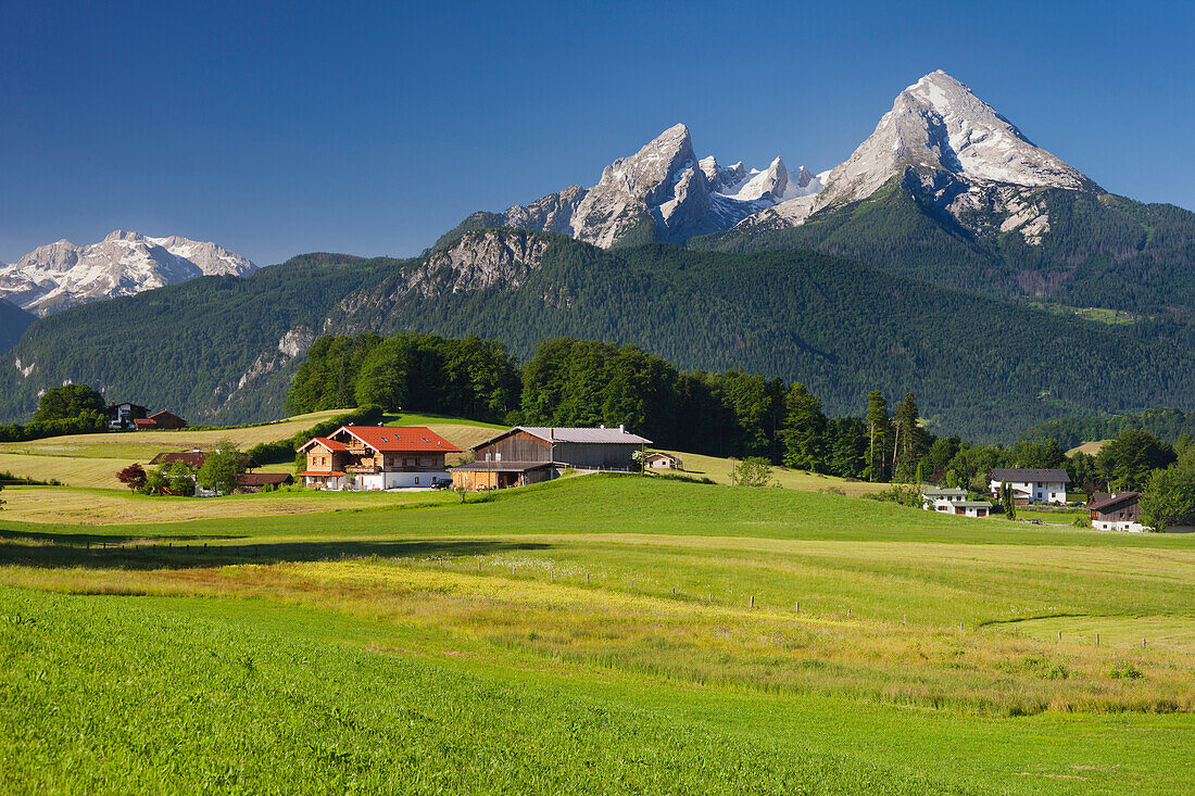 Bauernhof, Felder, Watzmann im Hintergrund, Aschauerweiherstraße, Berchtesgadener Land, Bayern, Deutschland