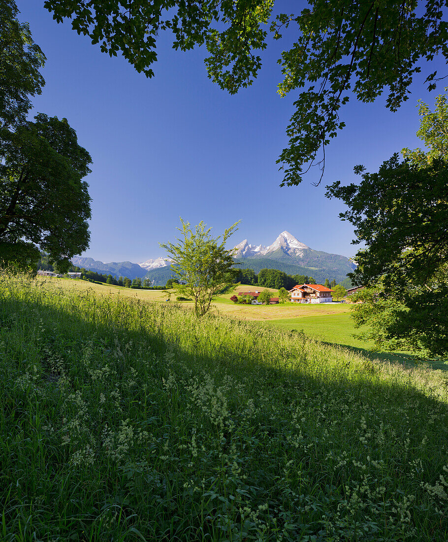 Bauernhof, Felder, Watzmann, Aschauerweiherstraße, Berchtesgadener Land, Bayern, Deutschland