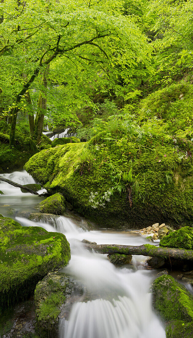 Cascade du Verneau, Nans-sous-Sainte-Anne, Doubs, Frankreich