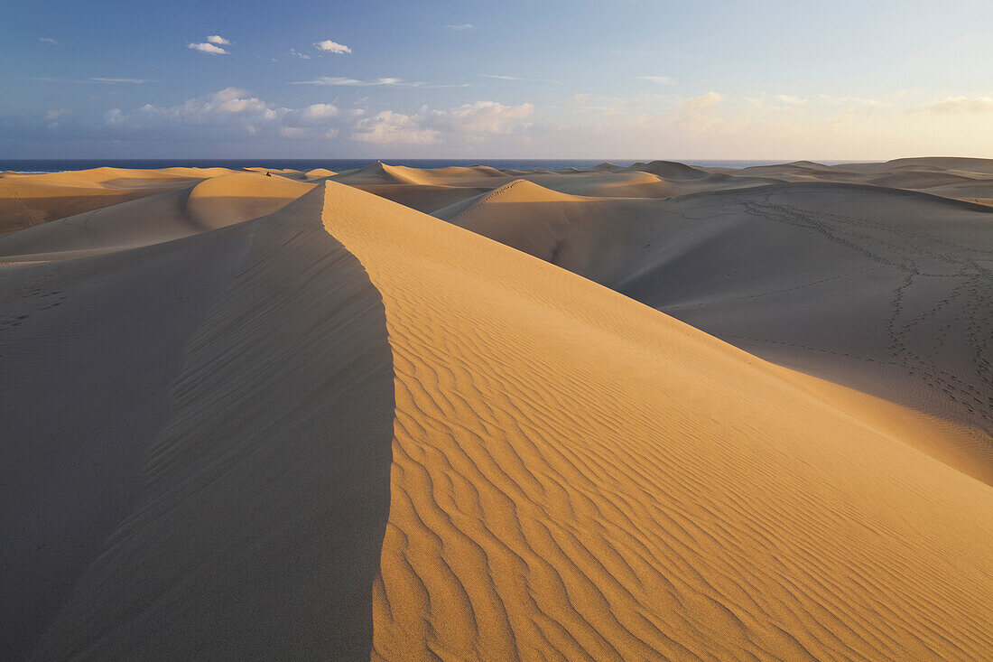 Dünen bei Maspalomas, Gran Canaria, Kanarische Inseln, Spanien