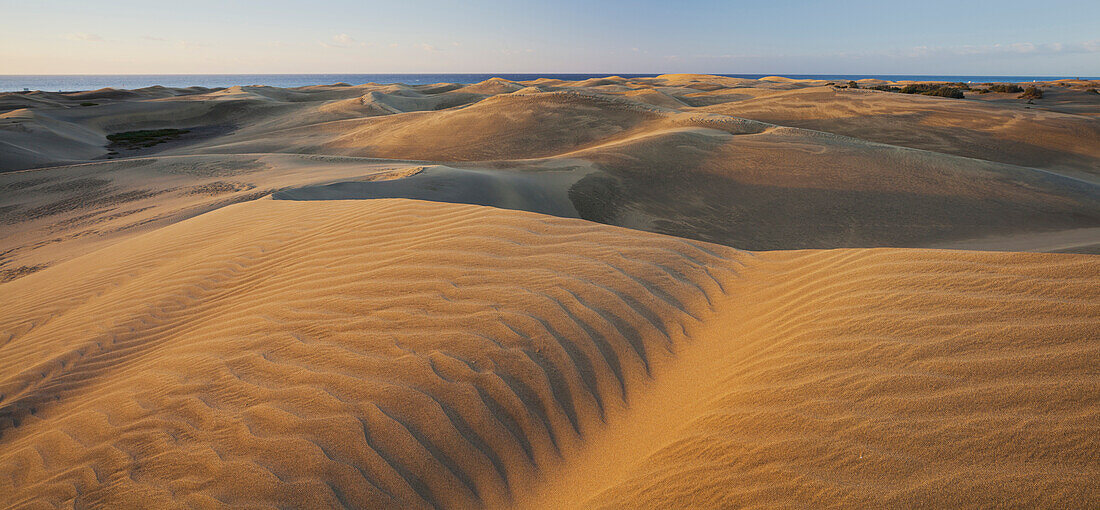 Dunes near Maspalomas, Gran Canaria, Gran Canaria, Canary Islands, Spain