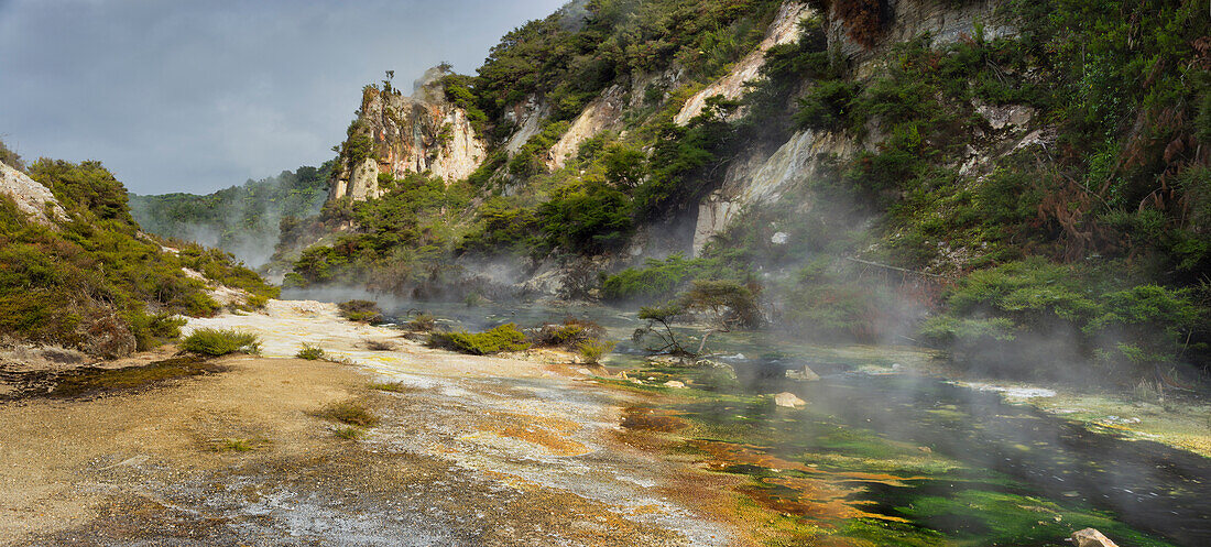 Hot springs, Waimangu Volcanic Valley, Rotorua, Bay of Plenty, North Island, New Zealand