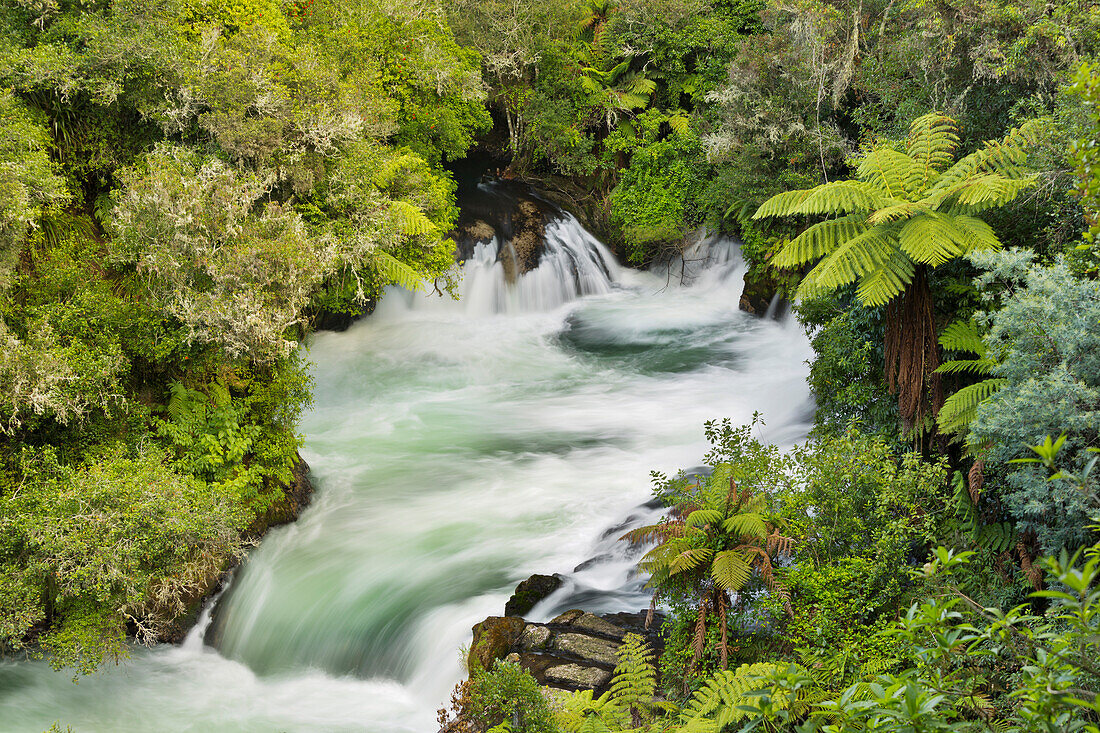 Okere Falls, Rotorua, Bay of Plenty, Nordinsel, Neuseeland