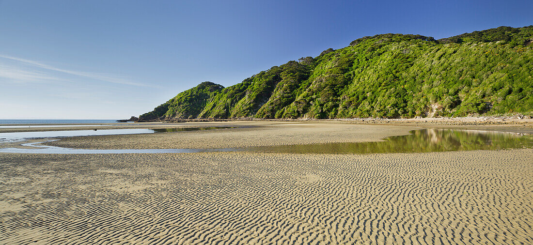 Beach at Wainui Bay, Tasman, South Island, New Zealand