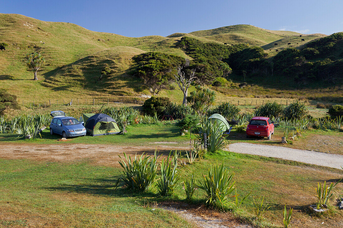 Camping site at Wharariki, Tasman, South Island, New Zealand