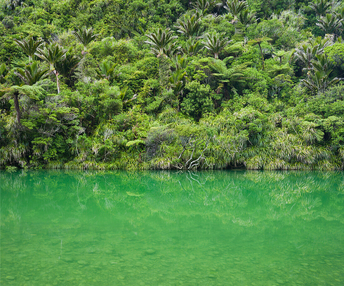 Pororari River, Paparoa Nationalpark, West Coast, Südinsel, Neuseeland