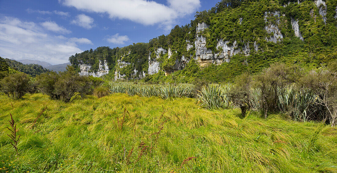 Bullock Creek, Paparoa National Park, West Coast, South Island, New Zealand