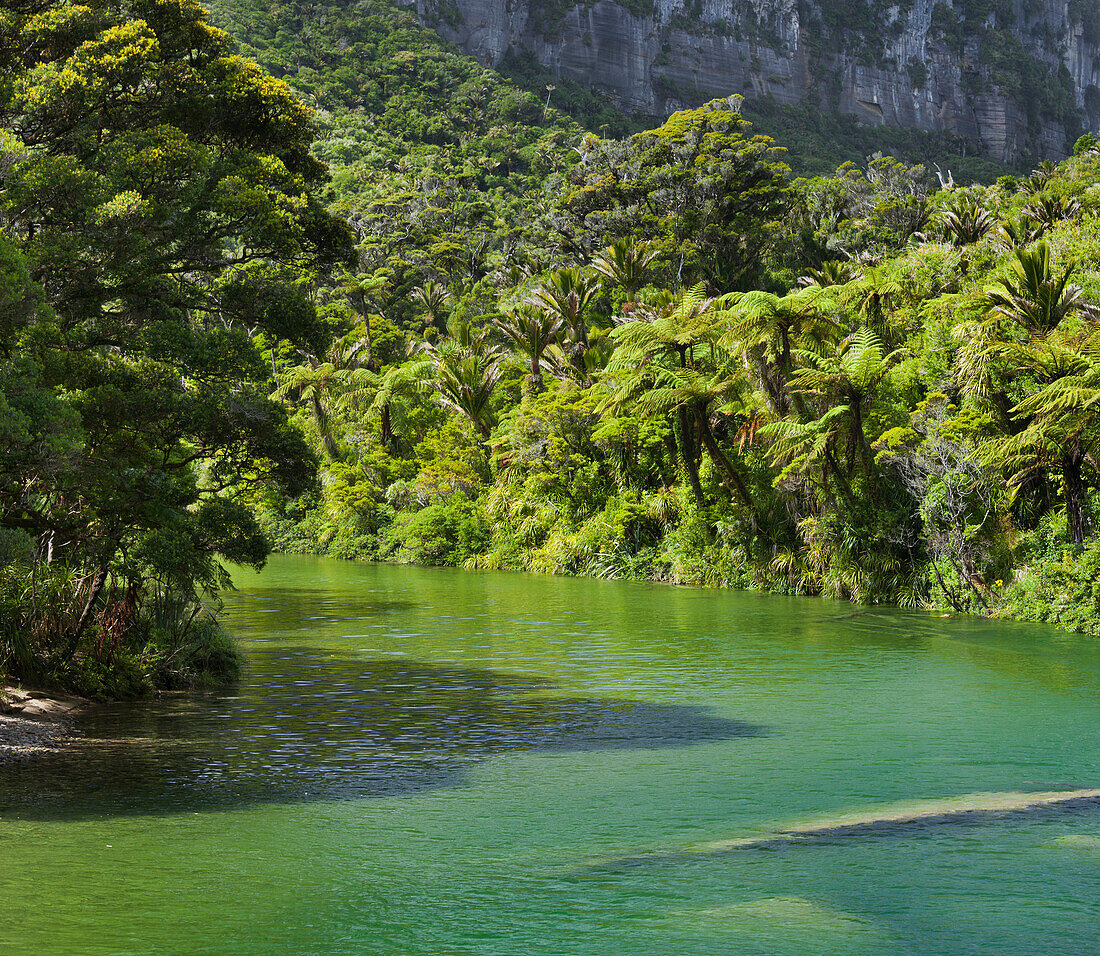 Pororari River, Paparoa National park, West Coast, South Island, New Zealand