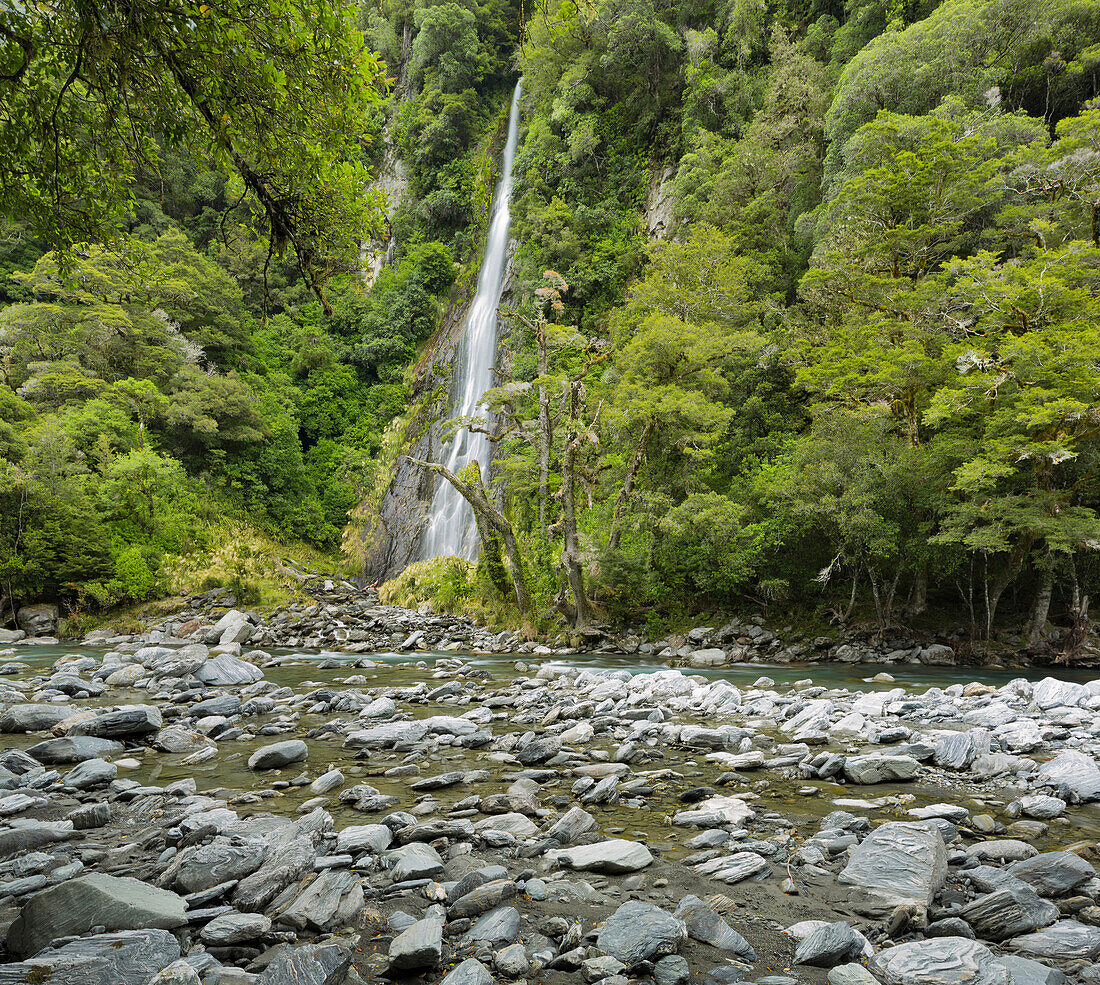 Thunder Creek Falls, Mount Aspiring Nationalpark, Hasst Pass, West Coast, Südinsel, Neuseeland