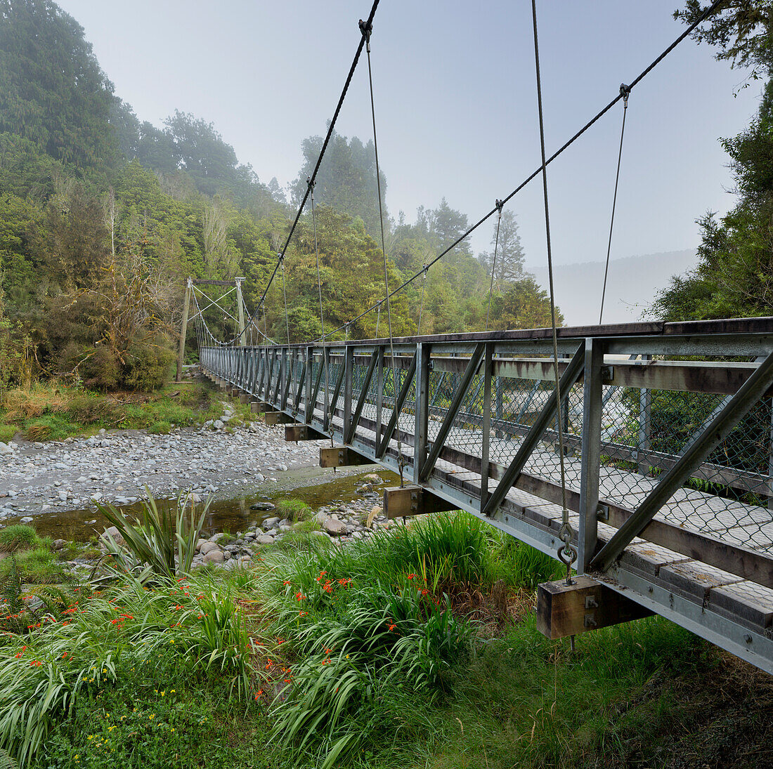 Bridge over the Matheson Creek, West Coast, South Island, New Zealand