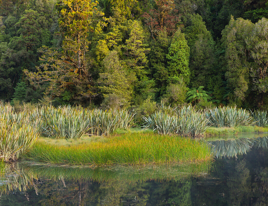 Lake Matheson, West Coast, Südinsel, Neuseeland