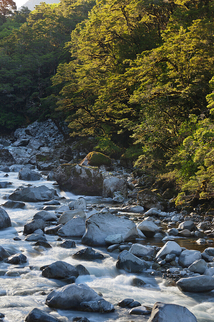 Hollyford River, Fiordland National Park, Southland, South Island, New Zealand